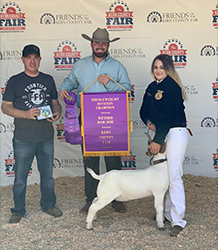 HJ Showstock Winners