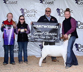 HJ Showstock Winners