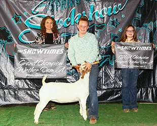 HJ Showstock Winners
