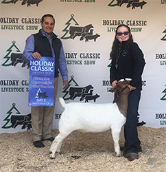 HJ Showstock Winners