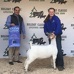 HJ Showstock Winners