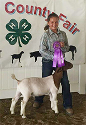 HJ Showstock Winners