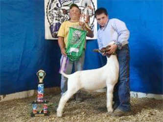 HJ Showstock Winners